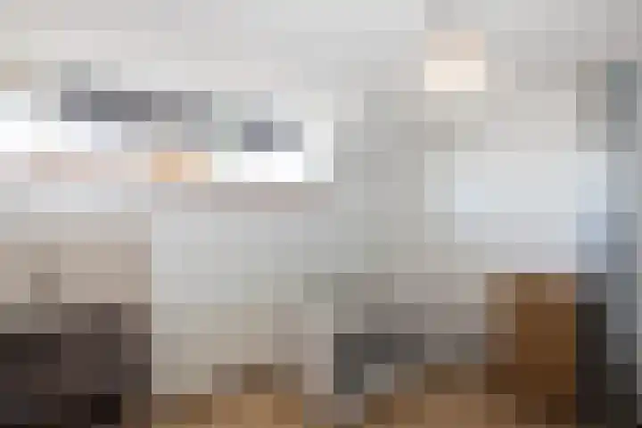 Misterweg 200 Winterswijk thumbnail 28