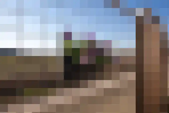 Misterweg 200 Winterswijk thumbnail 9