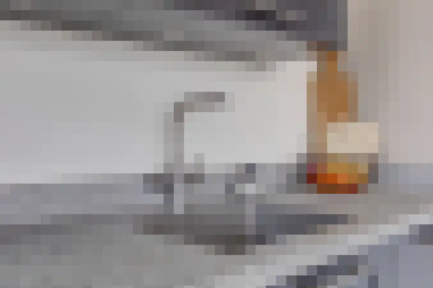 Misterweg 234 Winterswijk Miste thumbnail 22