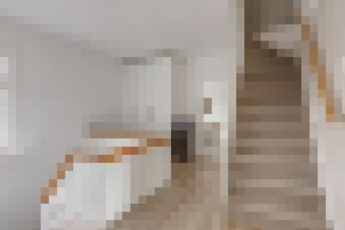 Misterweg 234 Winterswijk Miste thumbnail 28