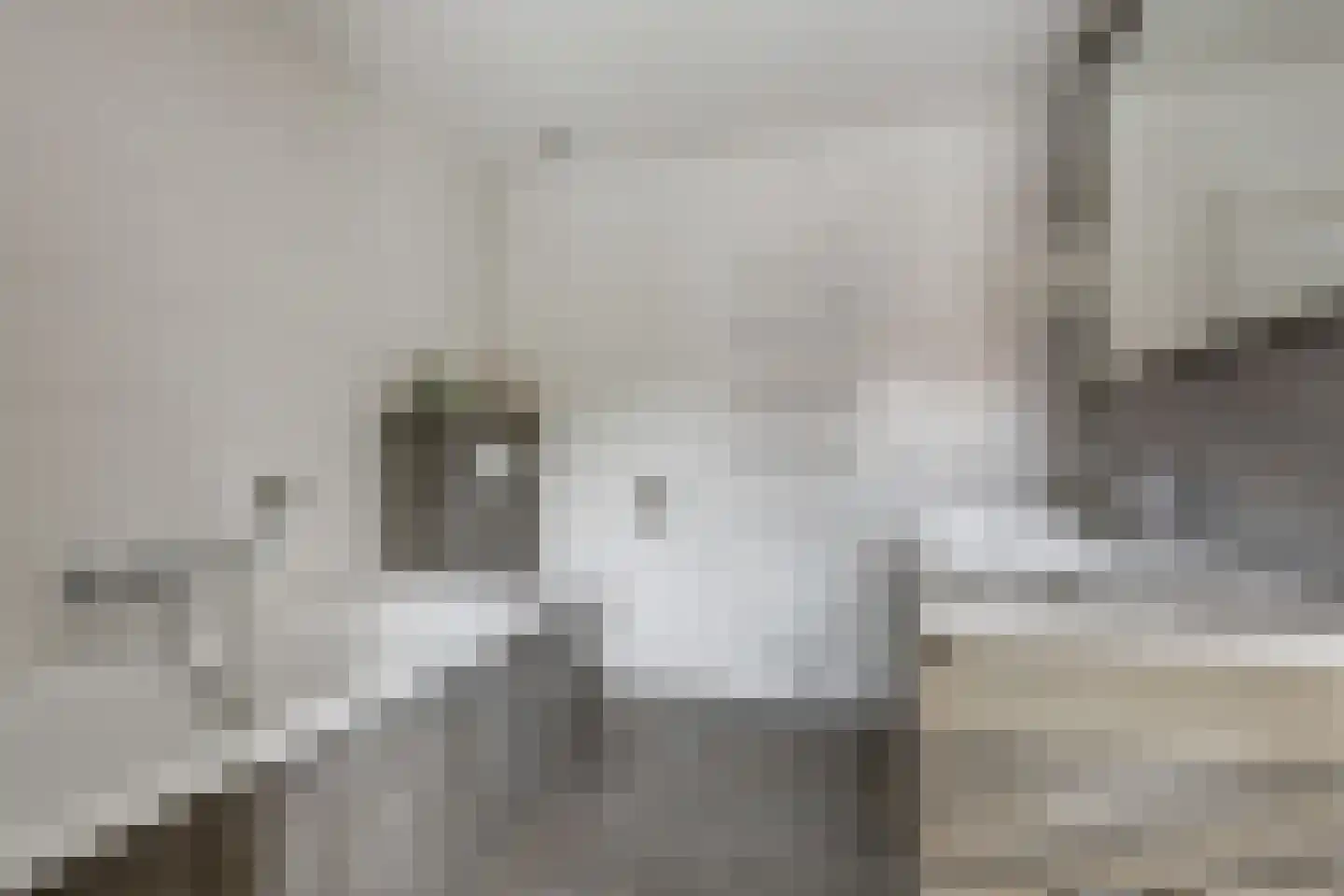 Misterweg 234 Winterswijk Miste thumbnail 33