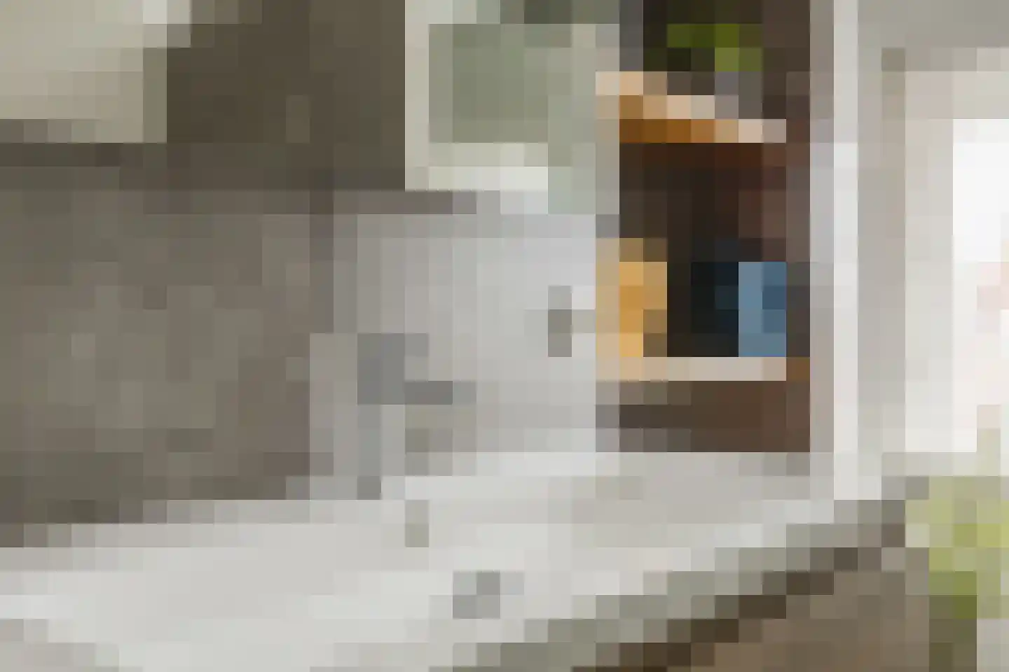Misterweg 234 Winterswijk Miste thumbnail 35