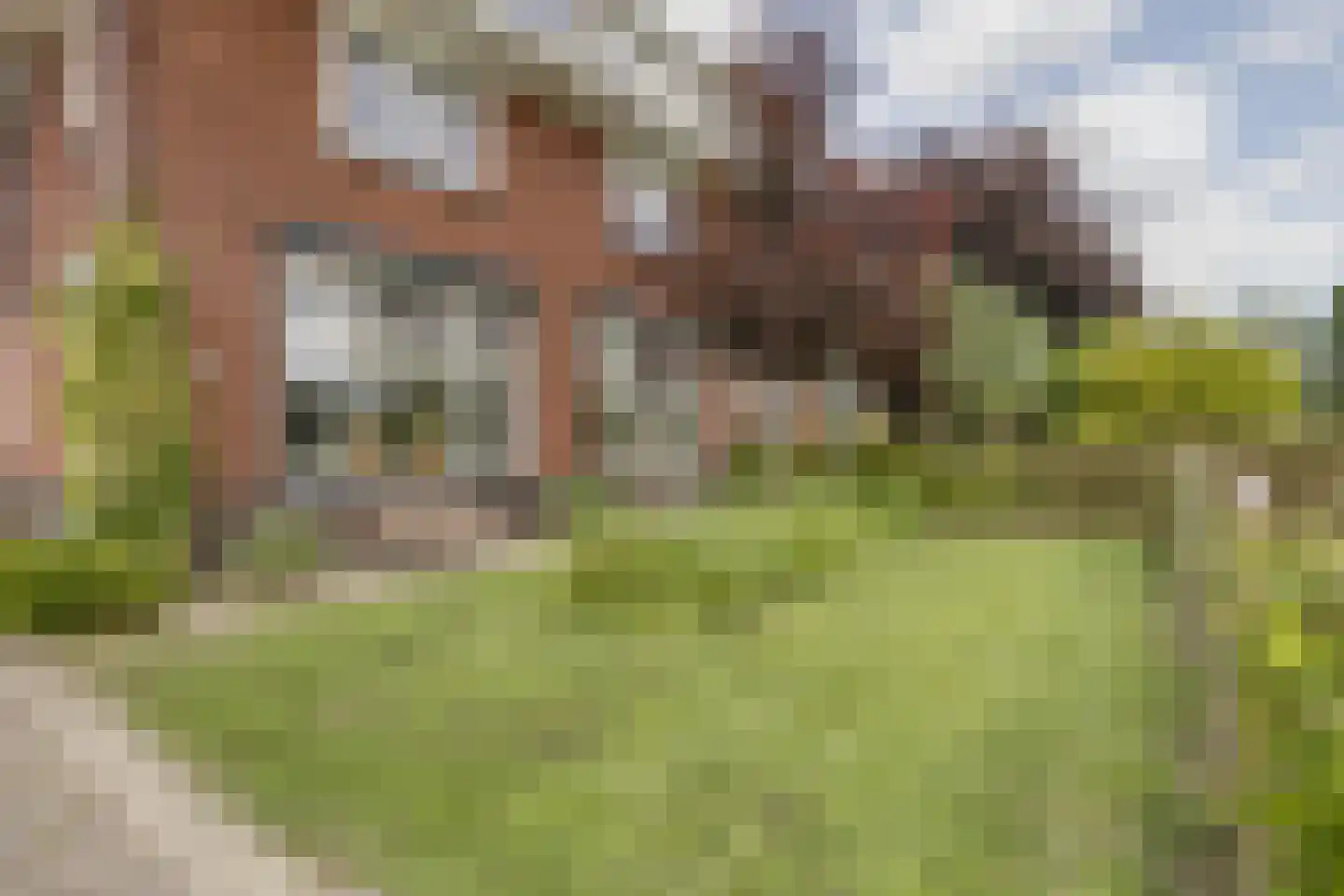 Misterweg 234 Winterswijk Miste thumbnail 4