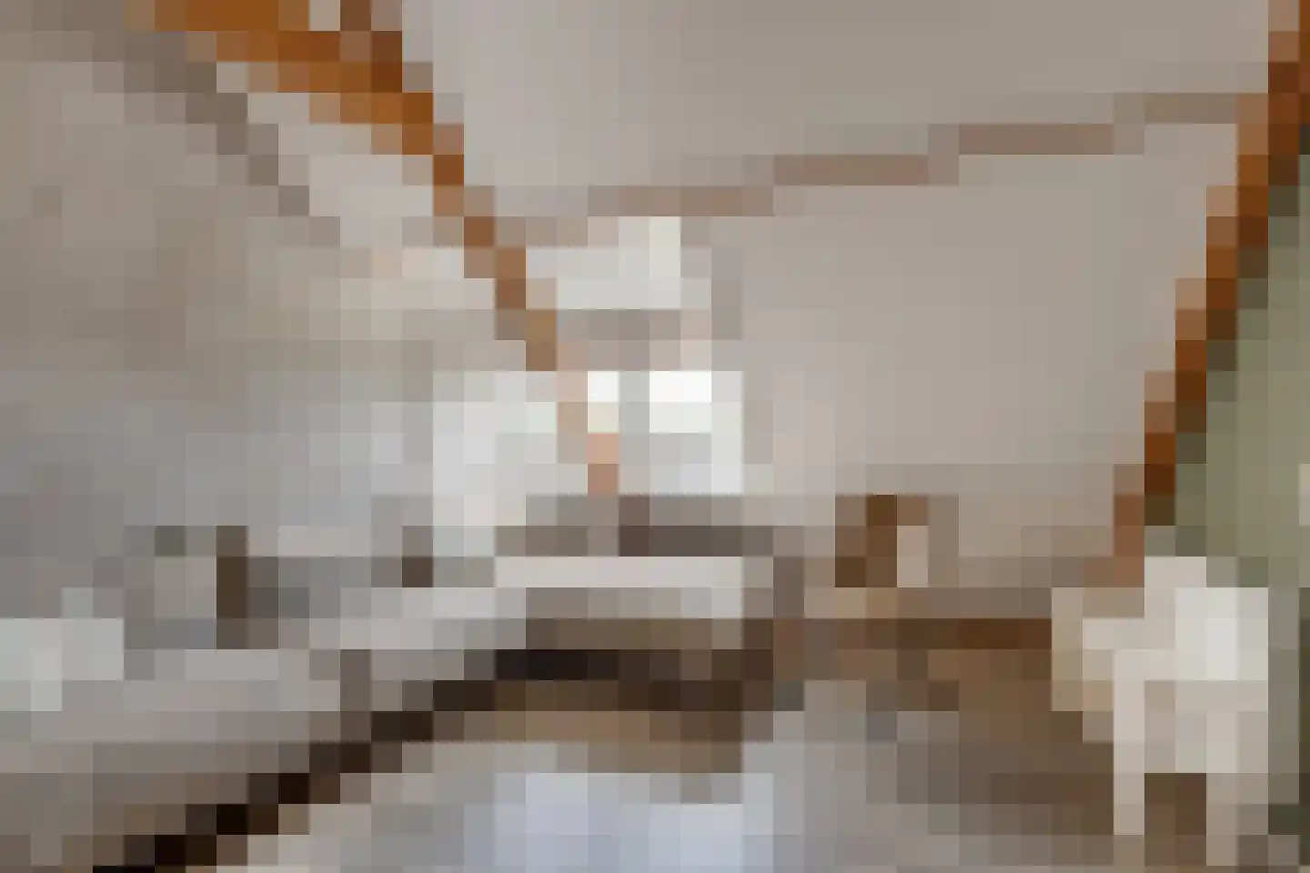 Misterweg 234 Winterswijk Miste thumbnail 41