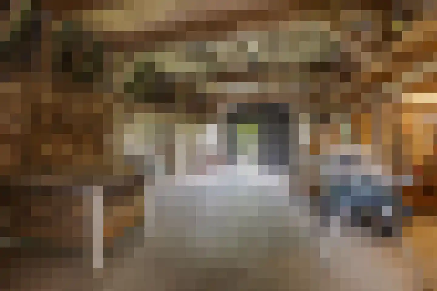 Misterweg 234 Winterswijk Miste thumbnail 48