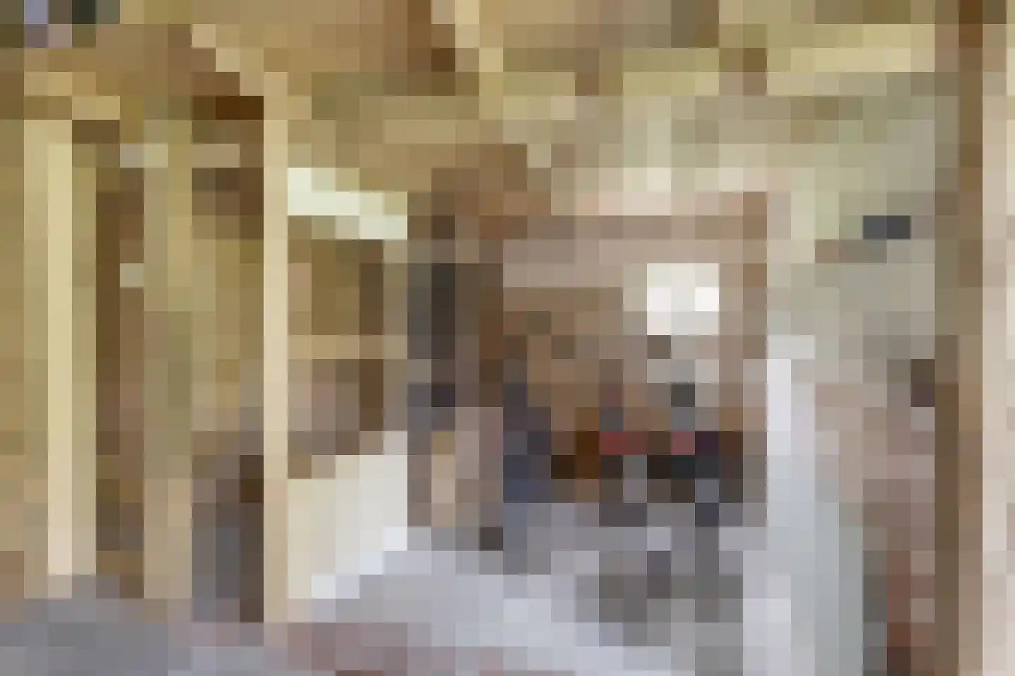 Misterweg 234 Winterswijk Miste thumbnail 50