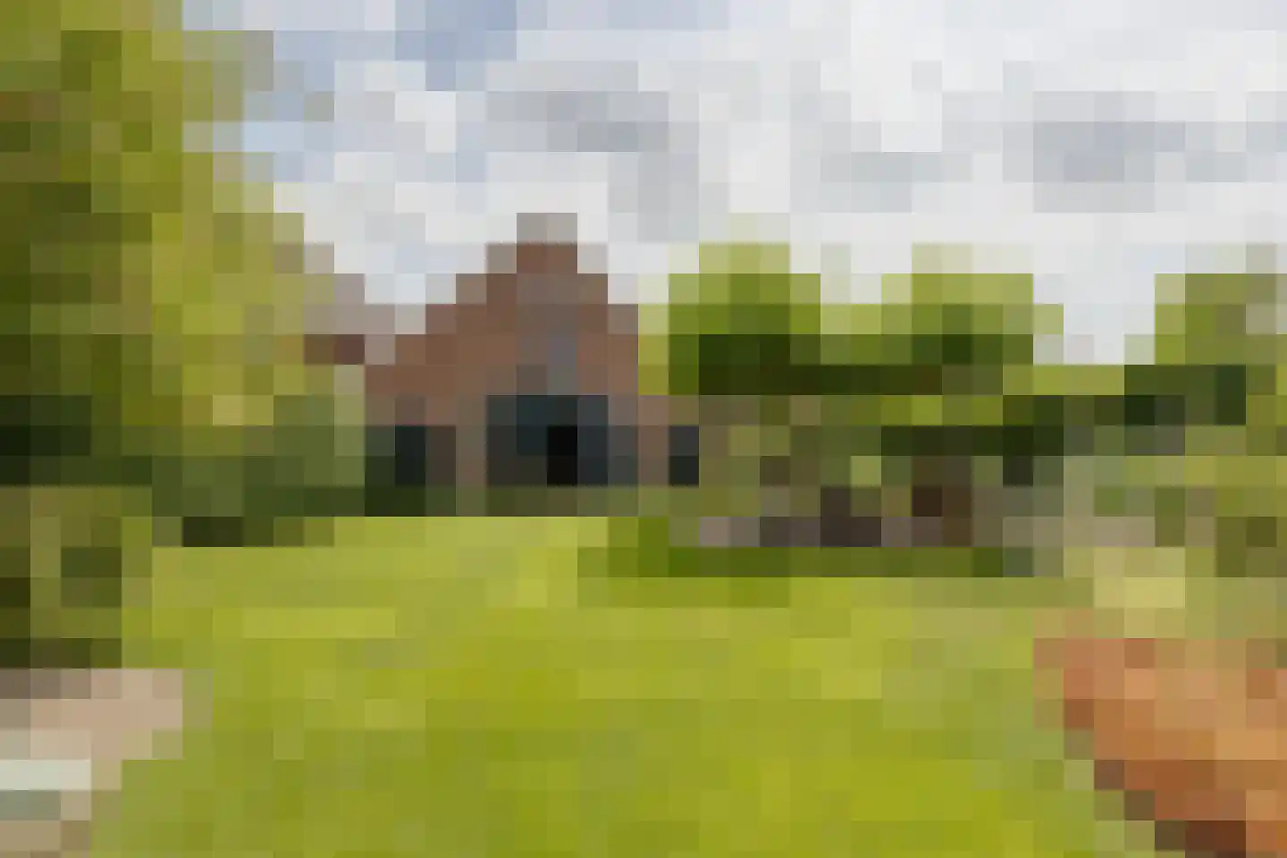 Misterweg 234 Winterswijk Miste thumbnail 57