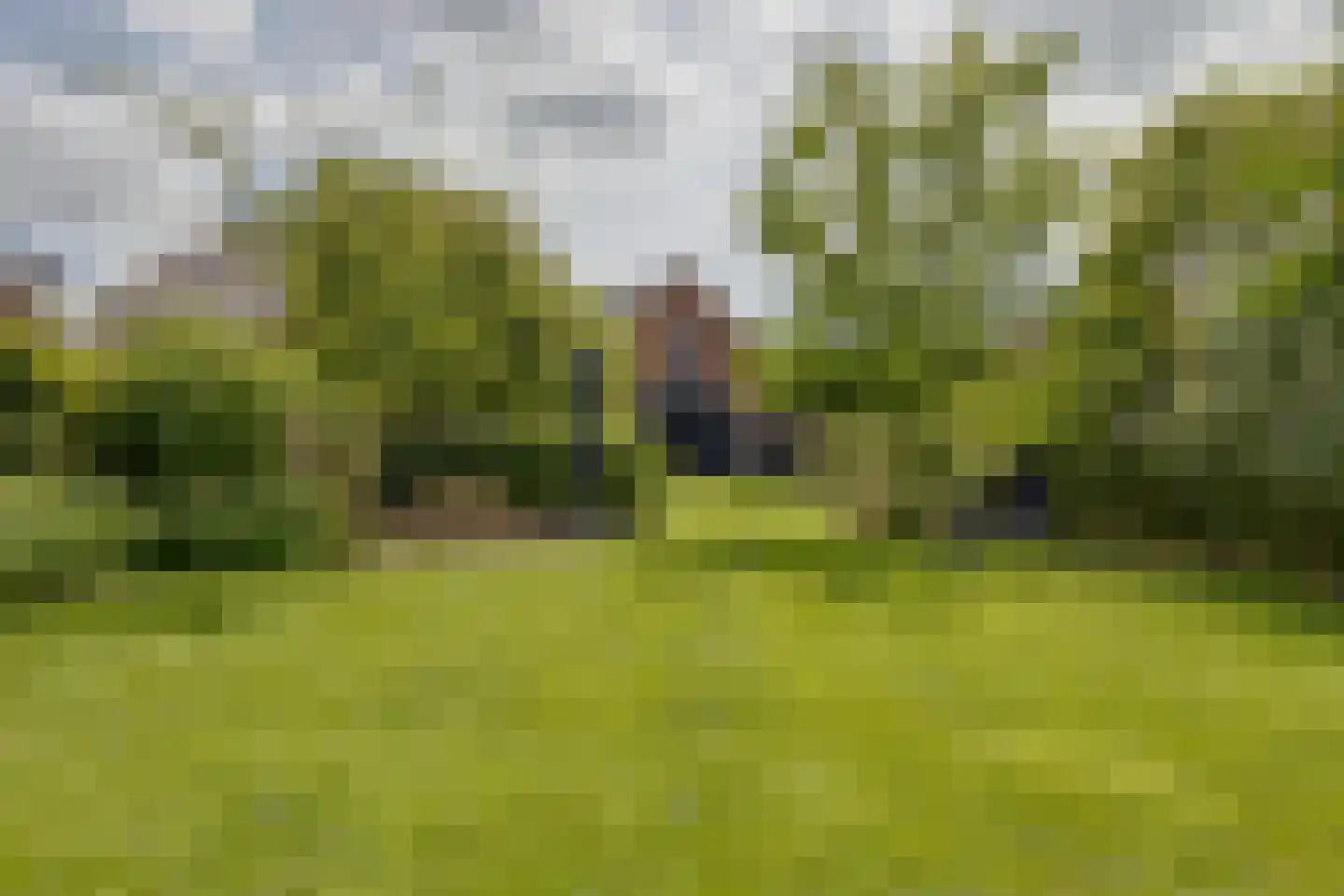 Misterweg 234 Winterswijk Miste thumbnail 58