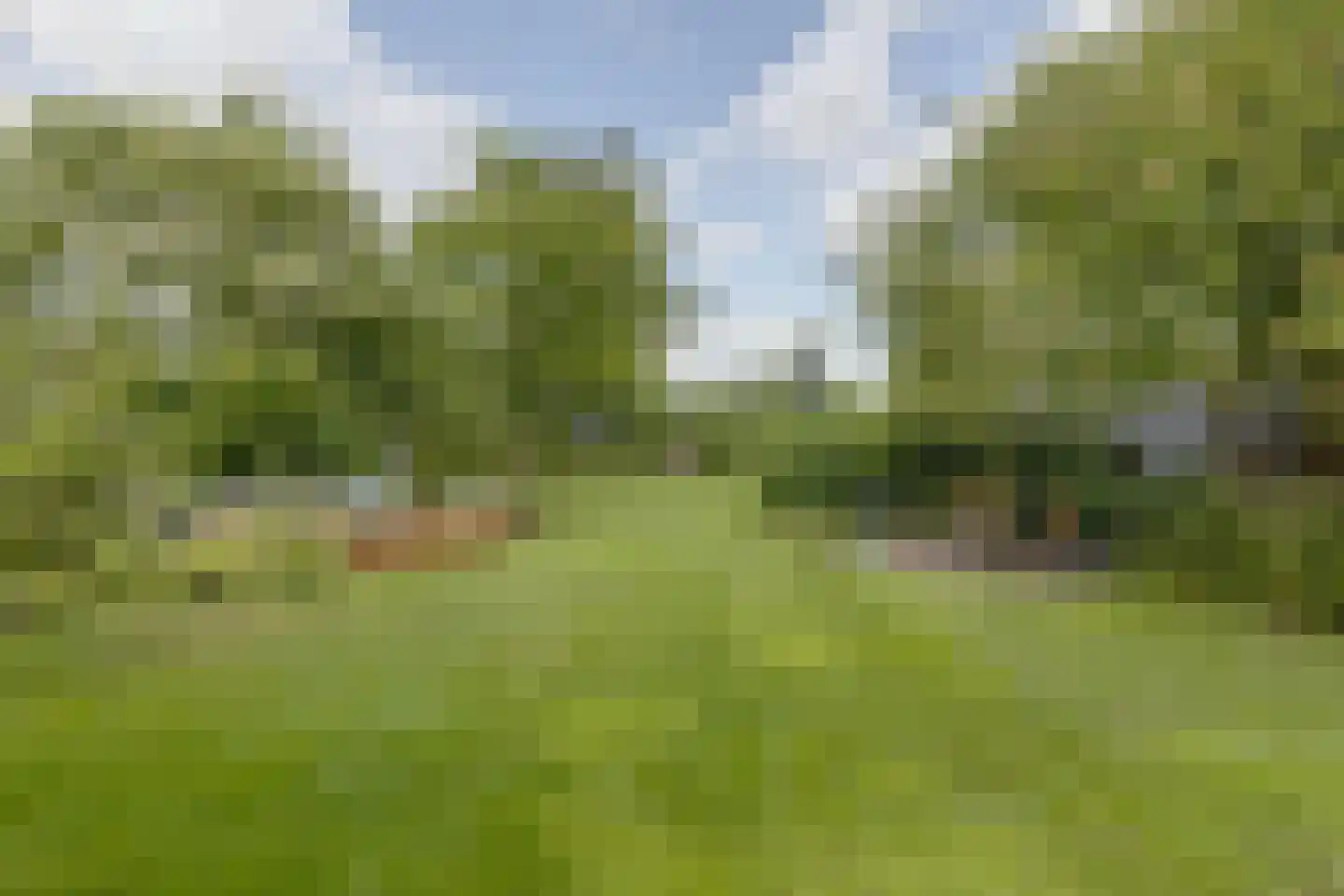 Misterweg 234 Winterswijk Miste thumbnail 59