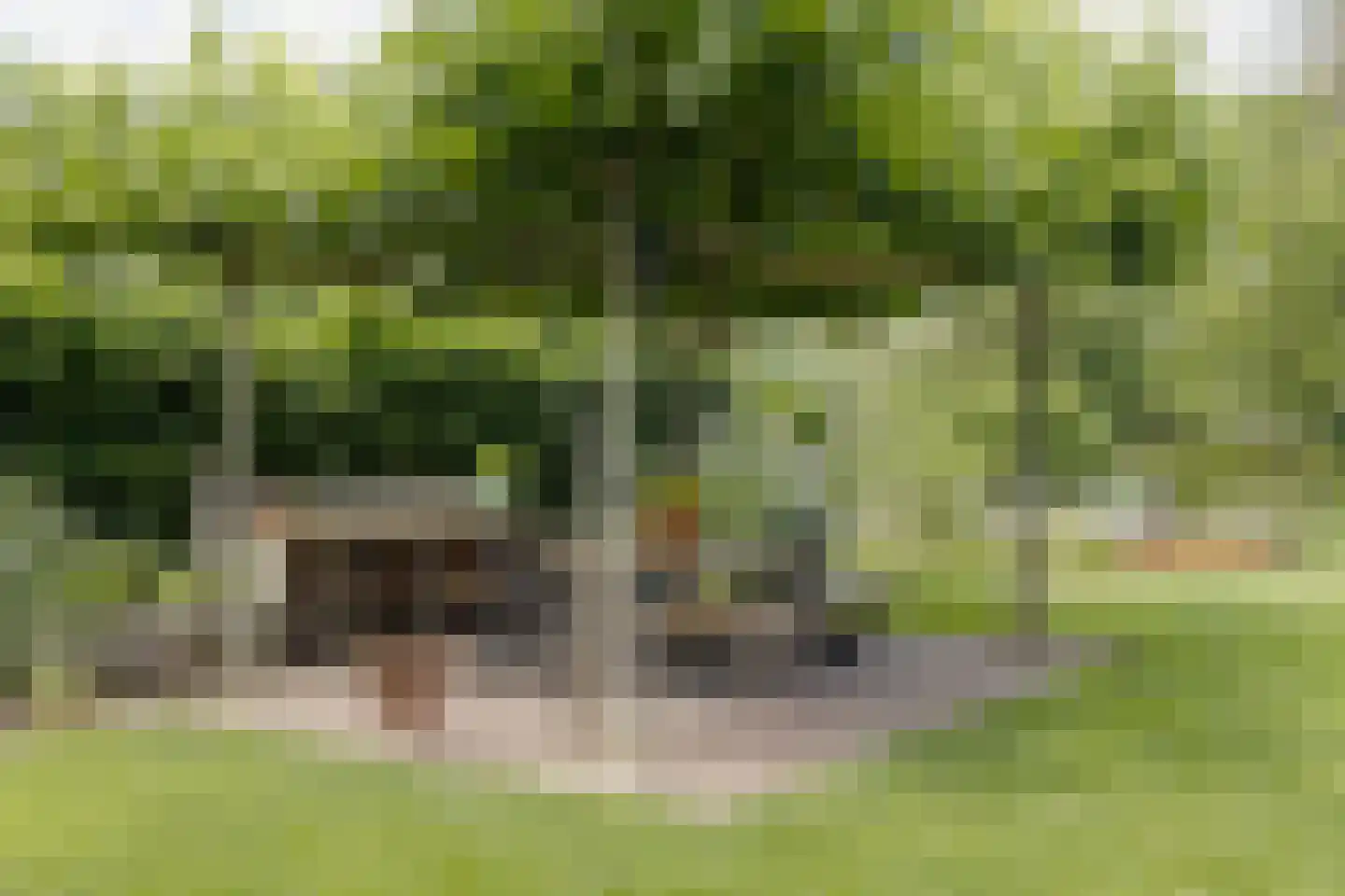 Misterweg 234 Winterswijk Miste thumbnail 60
