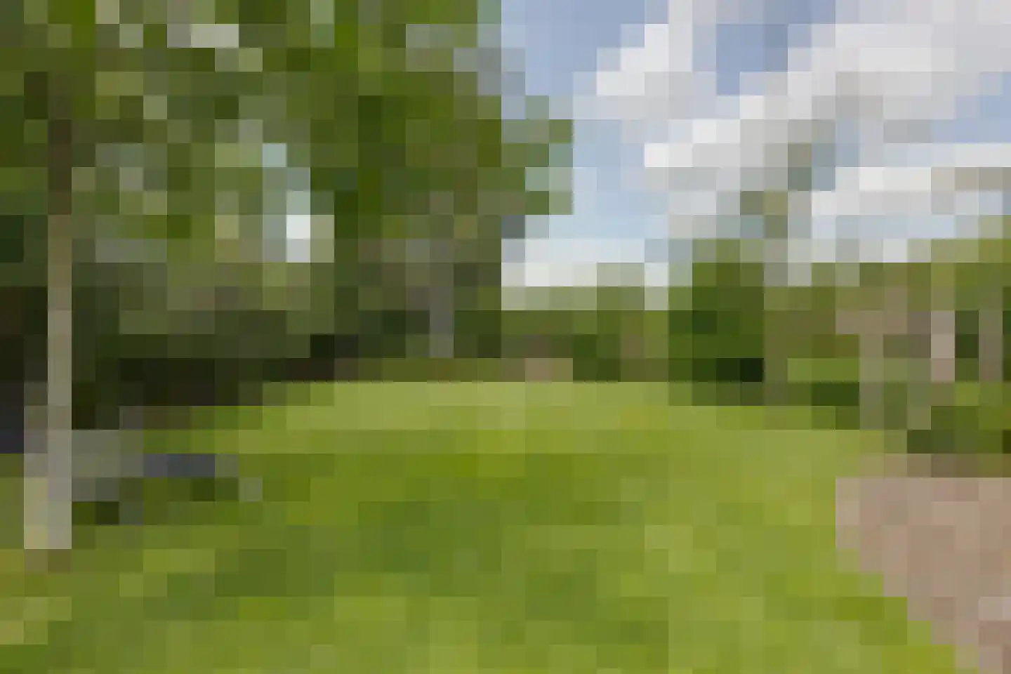 Misterweg 234 Winterswijk Miste thumbnail 62