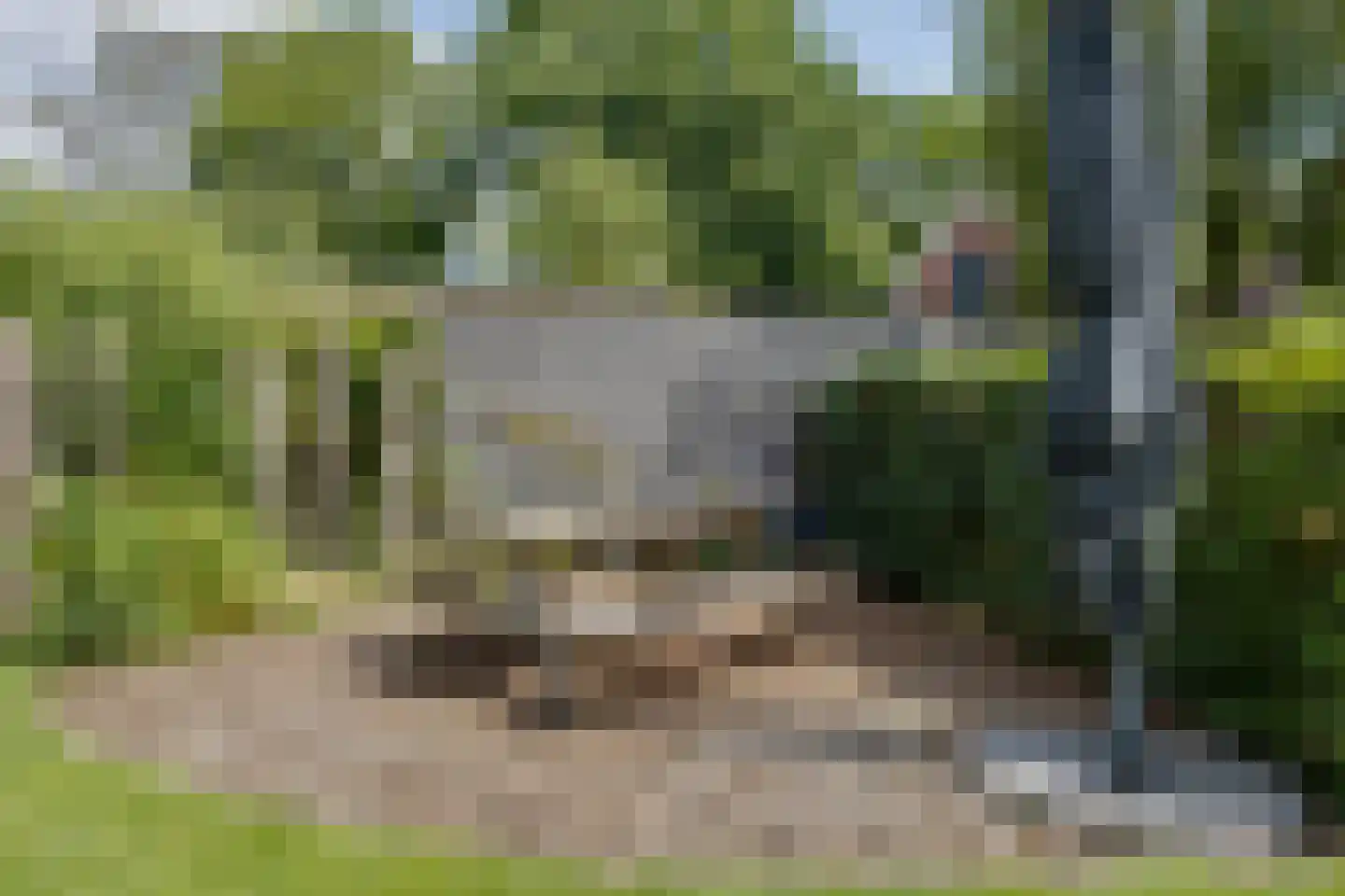 Misterweg 234 Winterswijk Miste thumbnail 63