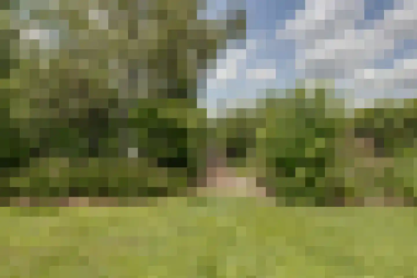 Misterweg 234 Winterswijk Miste thumbnail 65