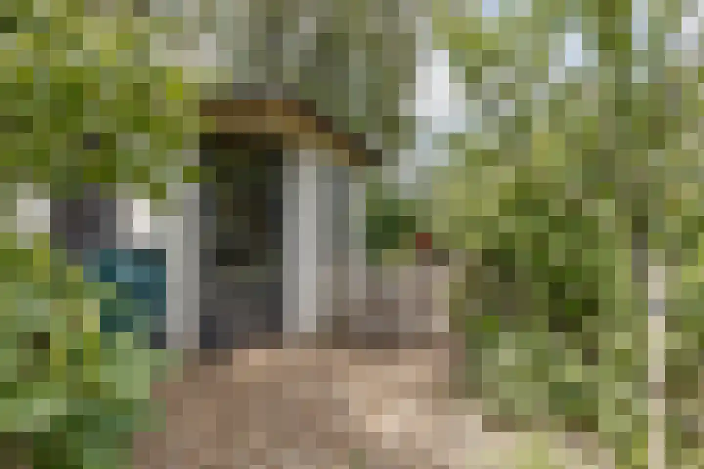 Misterweg 234 Winterswijk Miste thumbnail 66