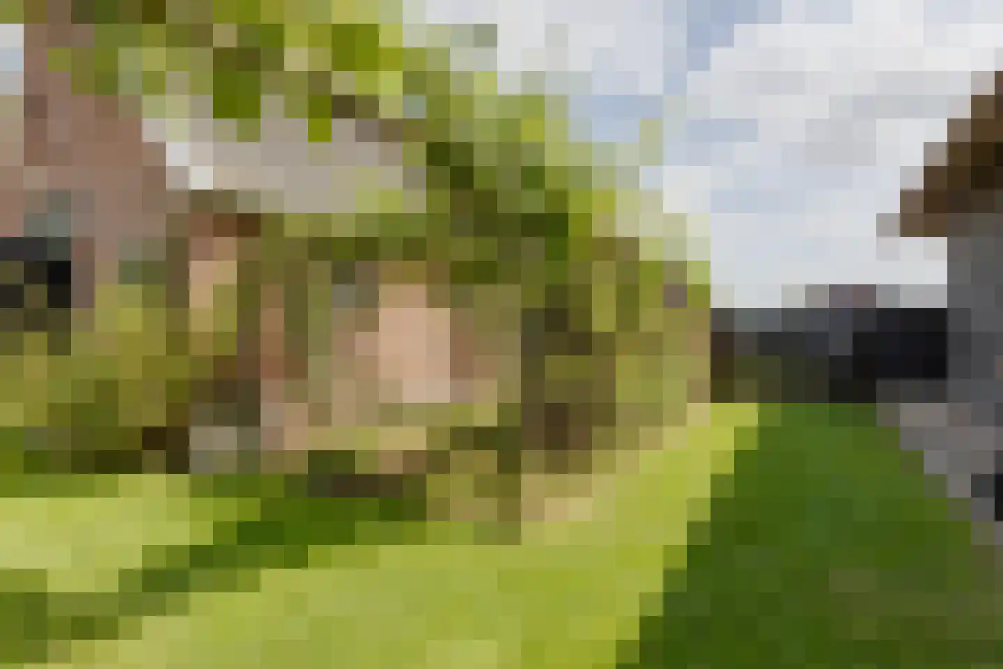 Misterweg 234 Winterswijk Miste thumbnail 67
