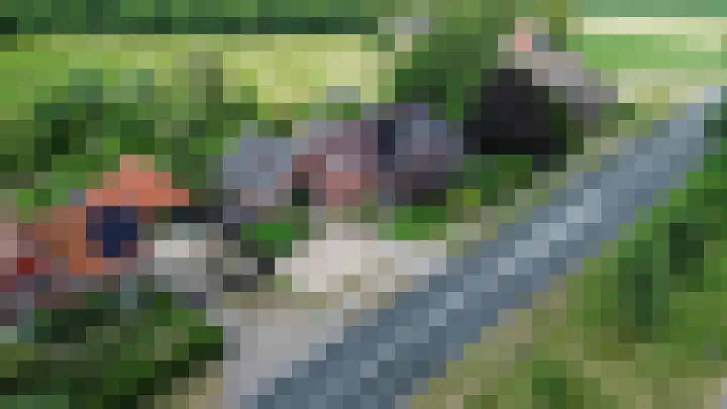 Misterweg 234 Winterswijk Miste thumbnail 69