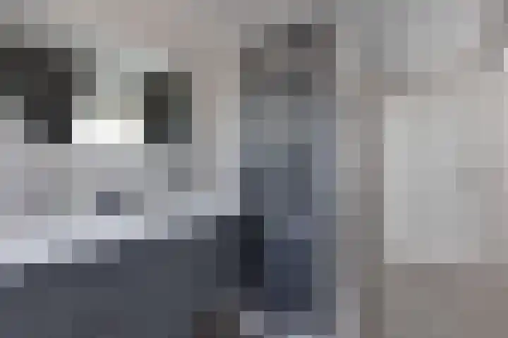 Misterweg 49 Winterswijk thumbnail 31