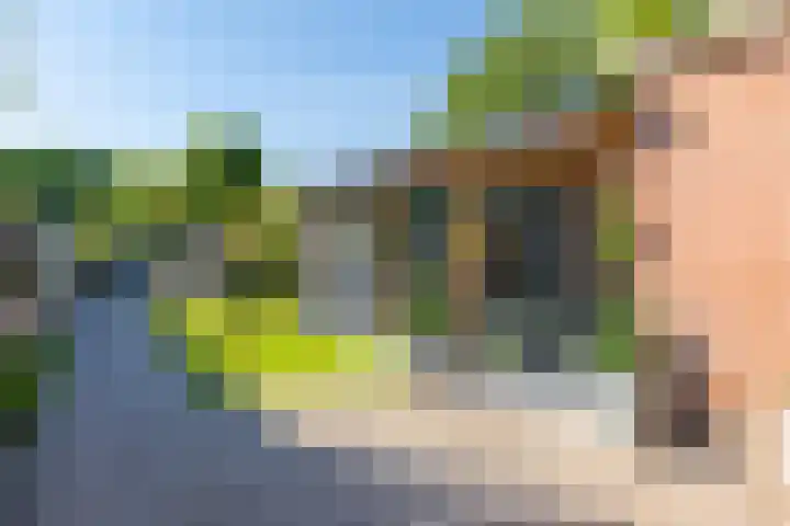 Misterweg 49 Winterswijk thumbnail 43