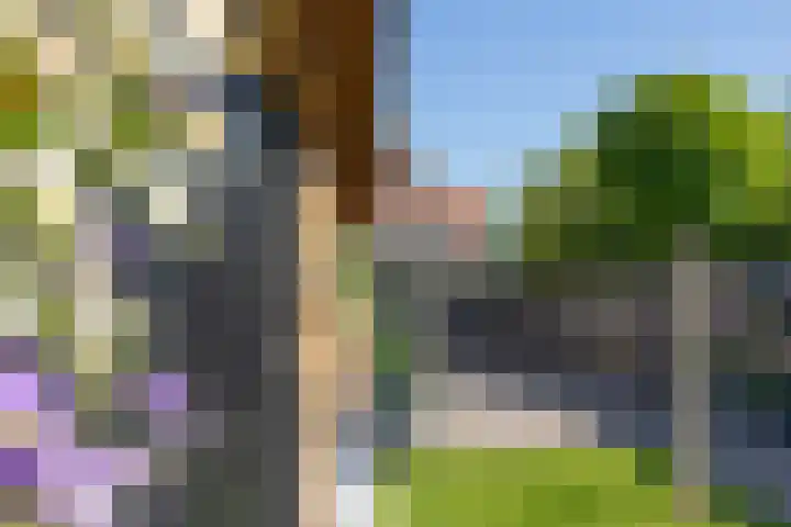 Misterweg 49 Winterswijk thumbnail 44