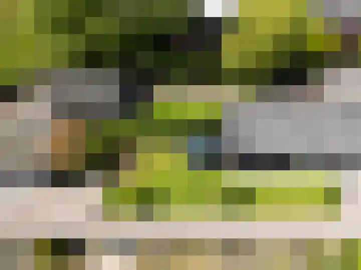 Misterweg 49 Winterswijk thumbnail 46