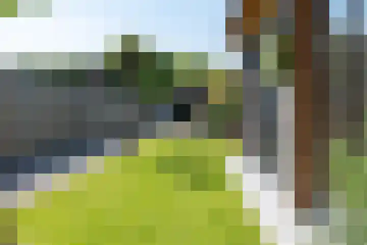 Misterweg 49 Winterswijk thumbnail 51