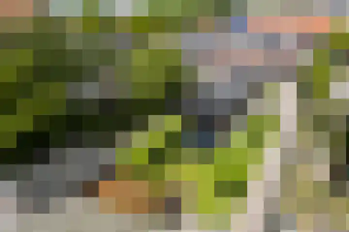 Misterweg 49 Winterswijk thumbnail 53