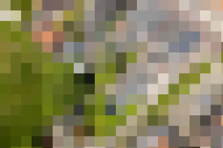 Misterweg 49 Winterswijk thumbnail 54