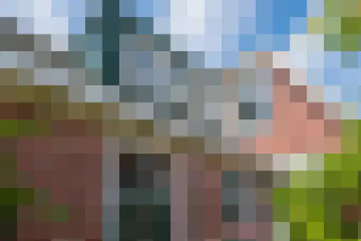 Misterweg 53 Winterswijk thumbnail 45