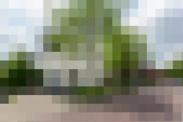 Misterweg 63 b Winterswijk thumbnail 41