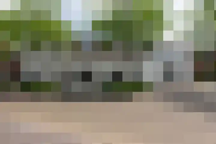 Misterweg 63 b Winterswijk thumbnail 43