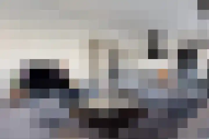 Misterweg 63 b Winterswijk thumbnail 9