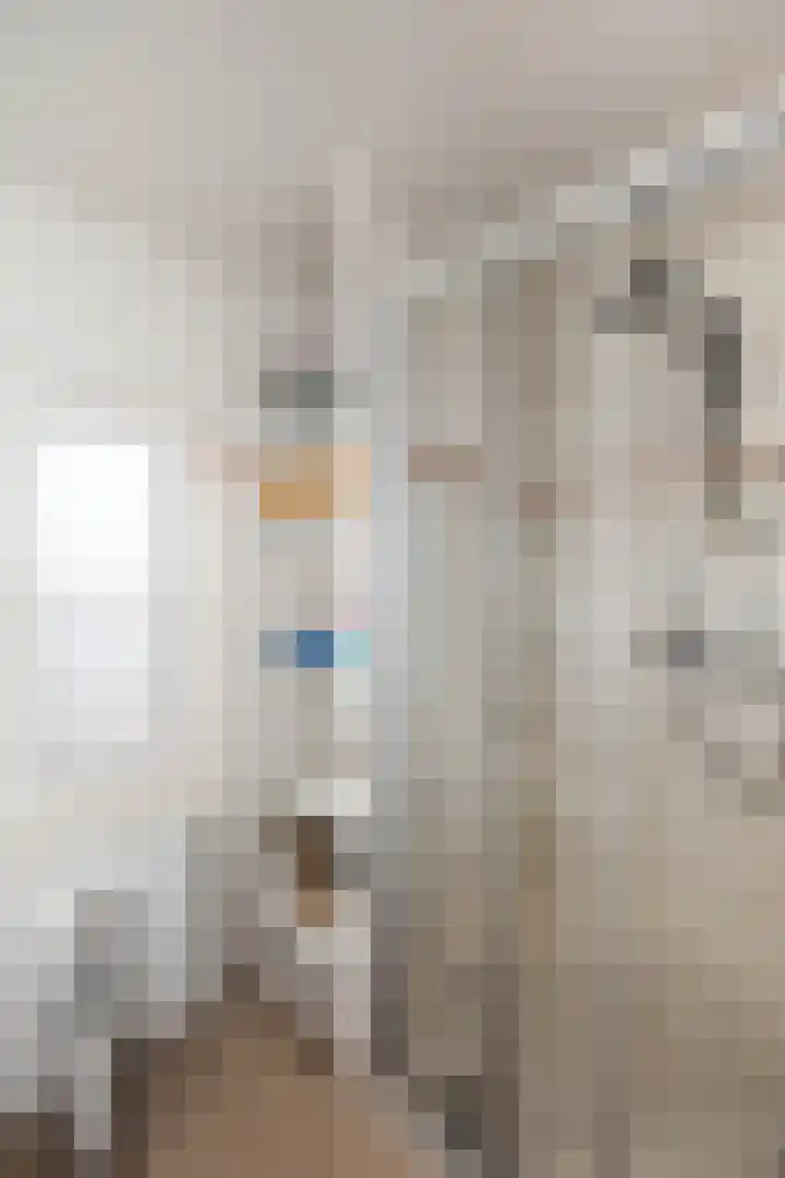 Misterweg 66 I Winterswijk thumbnail 38