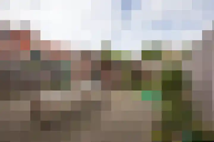Misterweg 66 I Winterswijk thumbnail 5