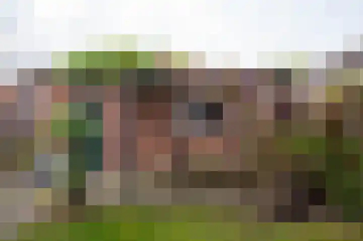 Misterweg 66 I Winterswijk thumbnail 6