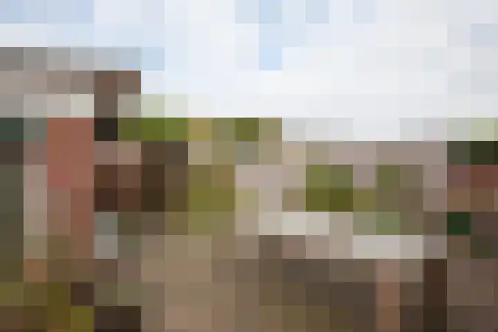 Misterweg 66 I Winterswijk thumbnail 7