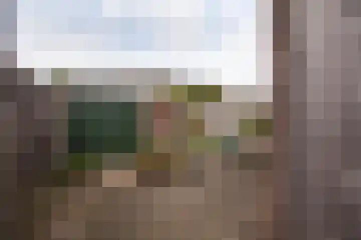 Misterweg 66 I Winterswijk thumbnail 9