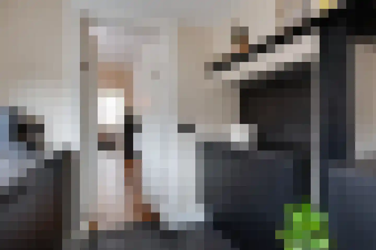 Misterweg 69 Winterswijk thumbnail 18