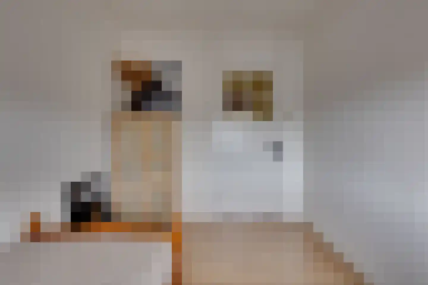 Misterweg 69 Winterswijk thumbnail 30