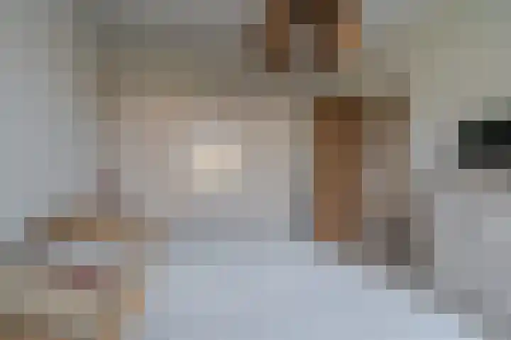 Misthoorn 37 Blauwestad thumbnail 12