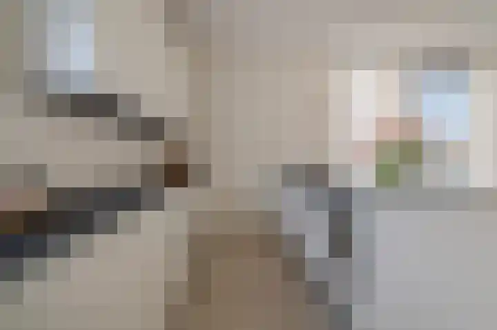 Misthoorn 37 Blauwestad thumbnail 33