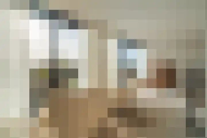 Misthoorn 37 Blauwestad thumbnail 36