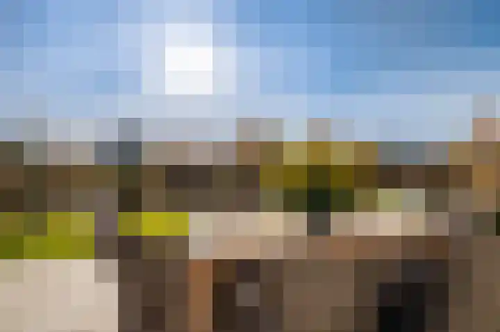 Misthoorn 37 Blauwestad thumbnail 47