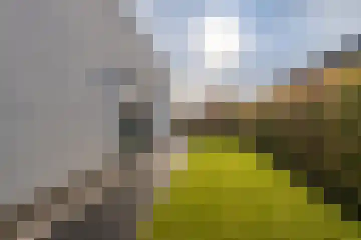 Misthoorn 37 Blauwestad thumbnail 49