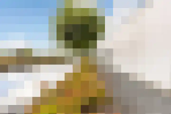 Misthoorn 41 Blauwestad thumbnail 12