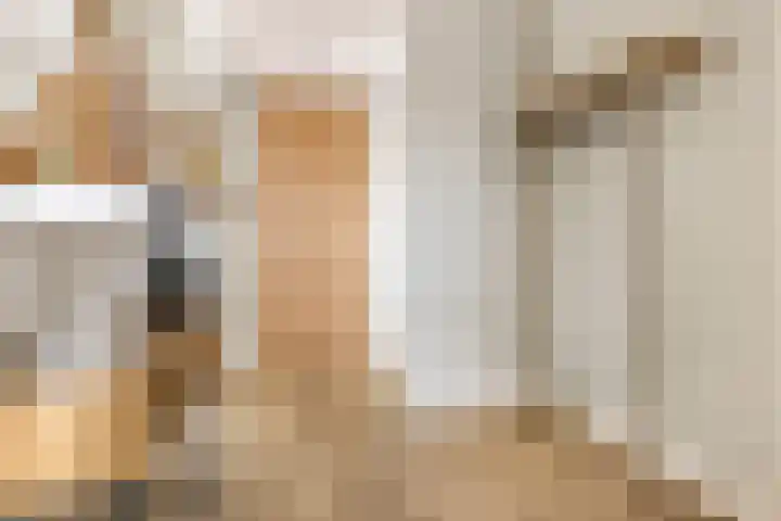 Misthoorn 41 Blauwestad thumbnail 31