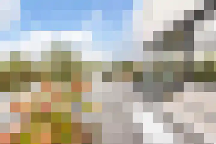 Misthoorn 41 Blauwestad thumbnail 47