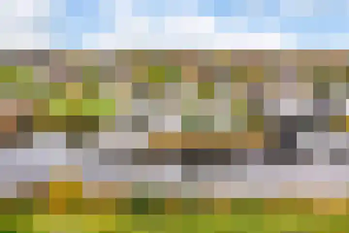 Misthoorn 41 Blauwestad thumbnail 48