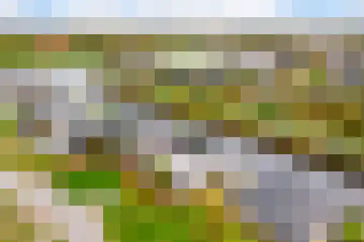 Misthoorn 41 Blauwestad thumbnail 49