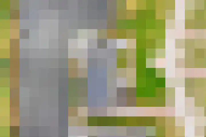 Misthoorn 41 Blauwestad thumbnail 50