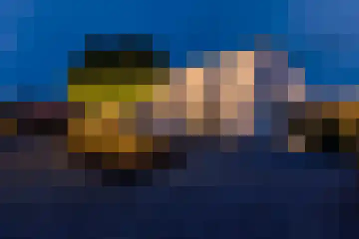 Misthoorn 41 Blauwestad thumbnail 52